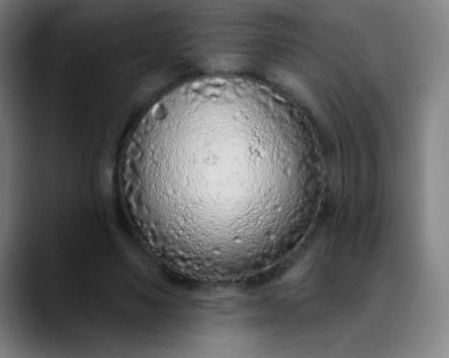 X0000089860491200707121739