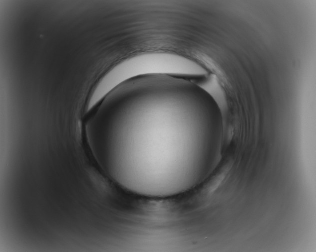 X0000089860493200707121739