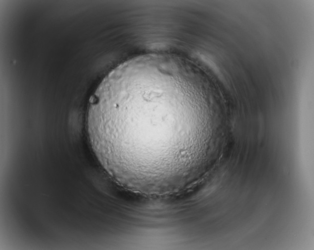 X0000089860495200707121739