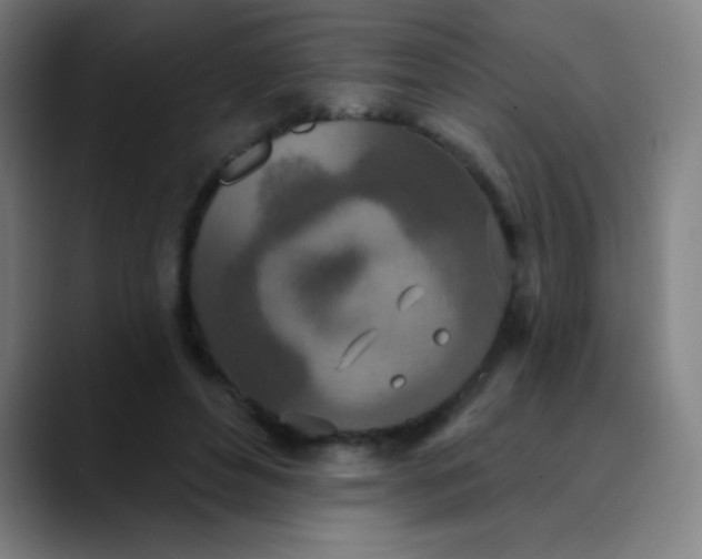 X0000089860496200707121739