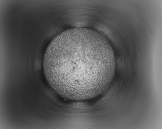 X0000089860499200707121739