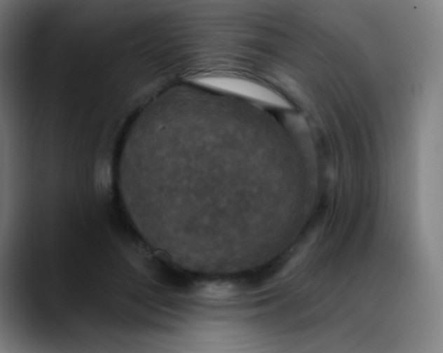 X0000089860500200707121739