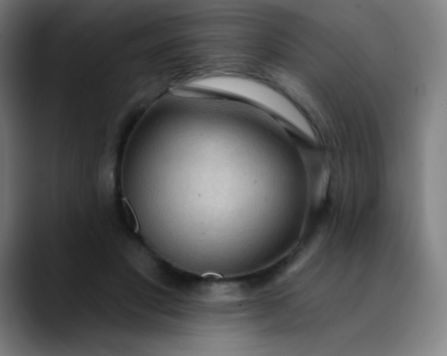 X0000089860501200707121739