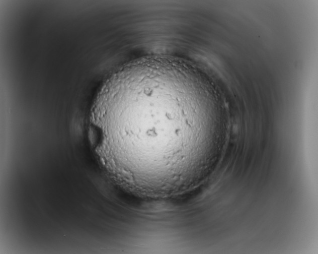 X0000089860503200707121738