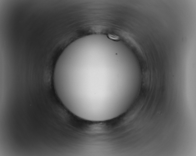 X0000089860505200707121738