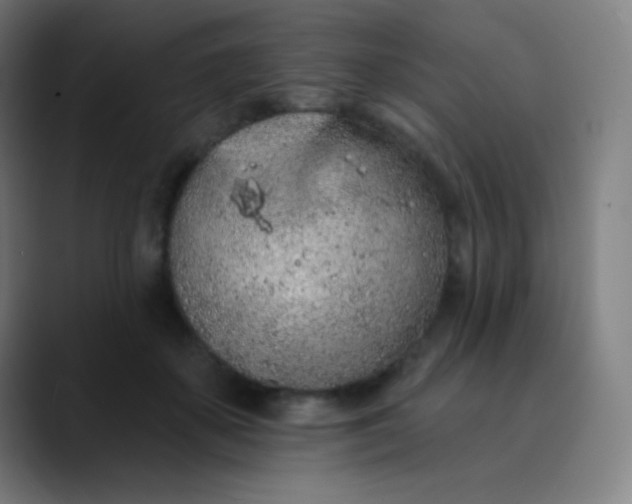 X0000089860507200707121738