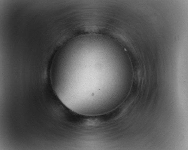 X0000089860508200707121738