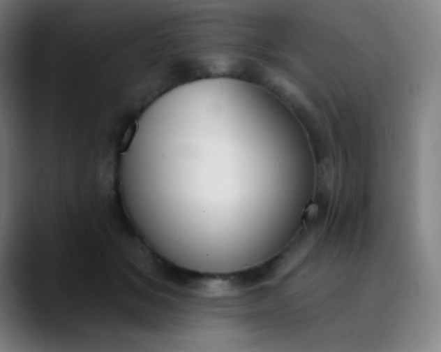 X0000089860509200707121738