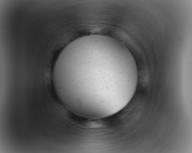 X0000089860510200707121738