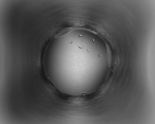 X0000089860512200707121738