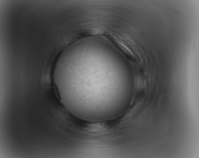 X0000089860516200707121738