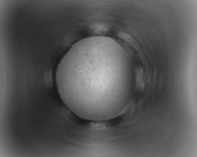 X0000089860520200707121738