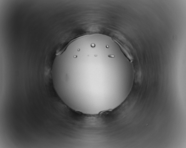 X0000089860521200707121738