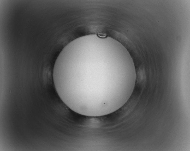 X0000089860522200707121738