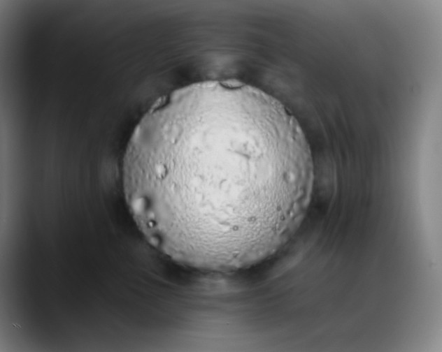 X0000089860523200707121738