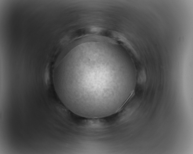 X0000089860524200707121738