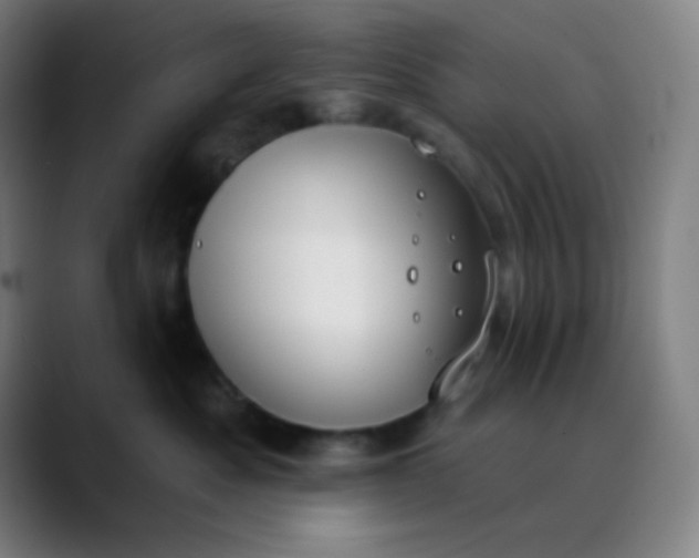 X0000089860525200707121738