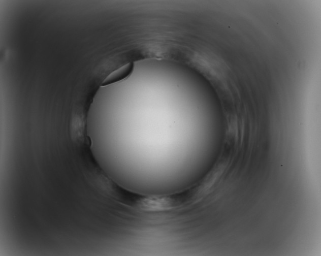 X0000089860526200707121738