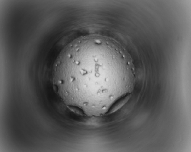 X0000089860527200707121738