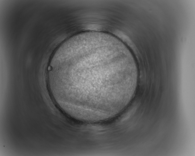 X0000089860529200707121738