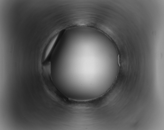 X0000089860530200707121738