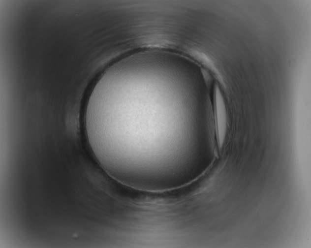 X0000089860531200707121738