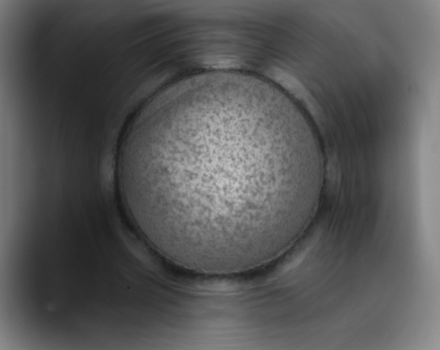 X0000089860533200707121738