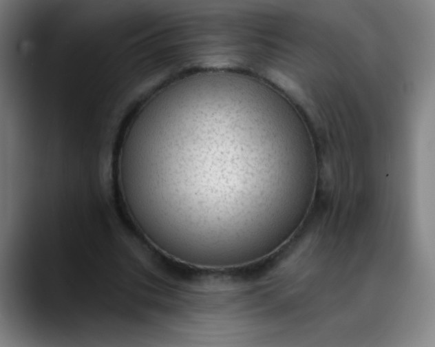 X0000089860535200707121738