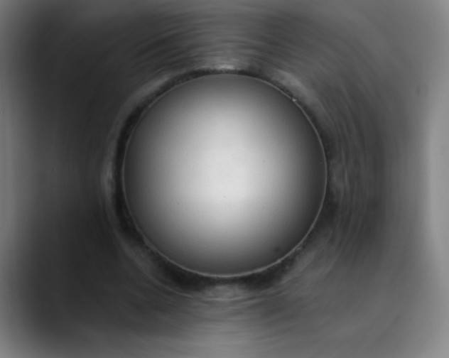 X0000089860536200707121738