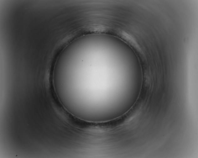 X0000089860538200707121738