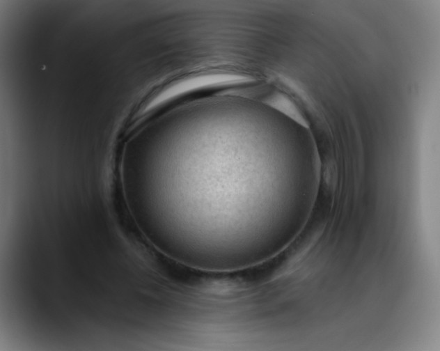 X0000089860540200707121738