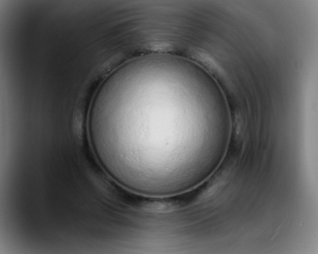 X0000089860542200707121738