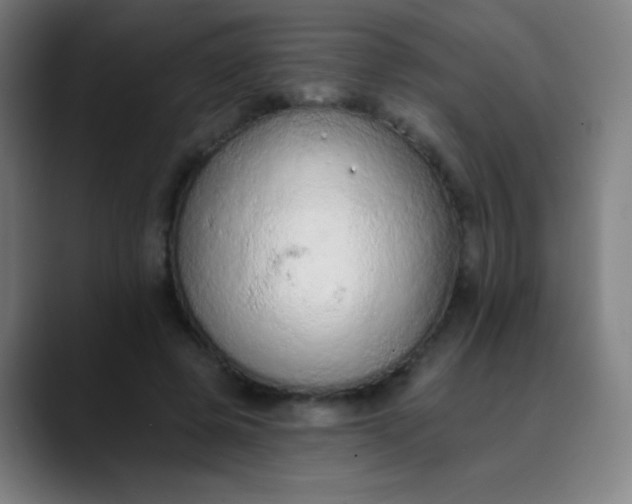 X0000089860545200707121738