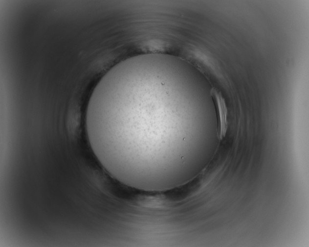 X0000089860548200707121738