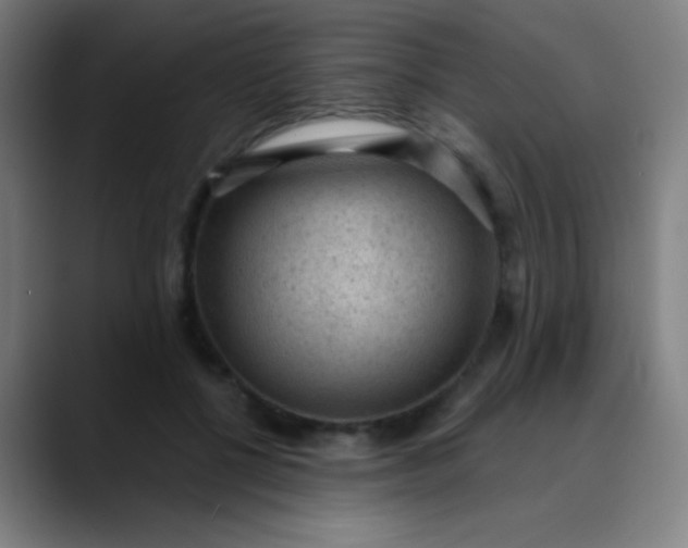 X0000089860552200707121738