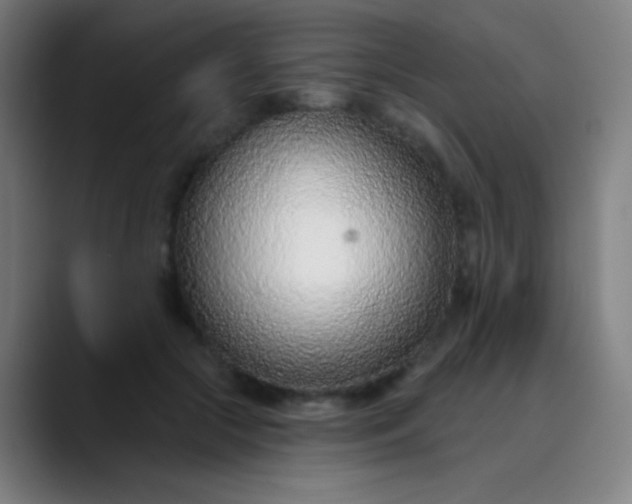 X0000089860553200707121738