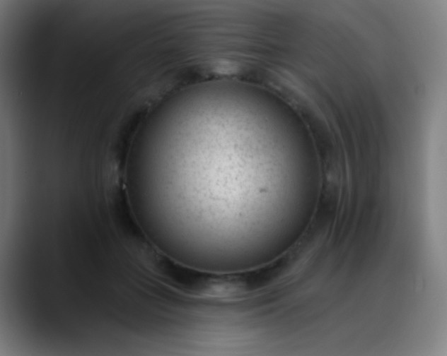 X0000089860555200707121738