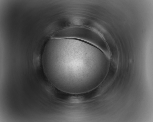 X0000089860556200707121738