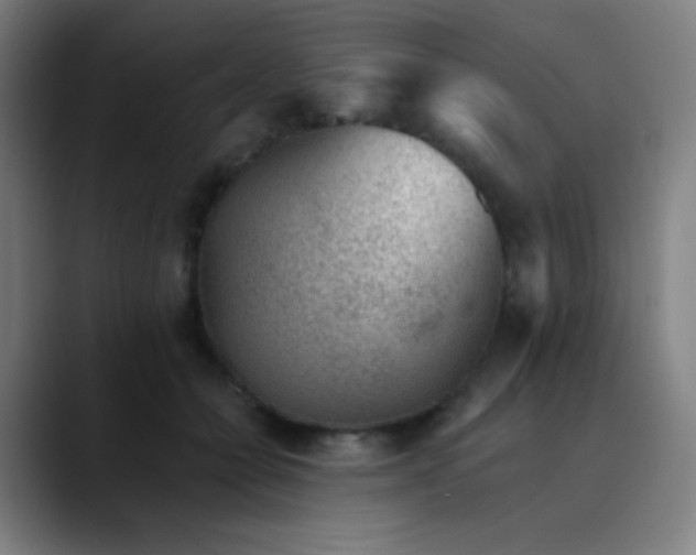 X0000089860558200707121738