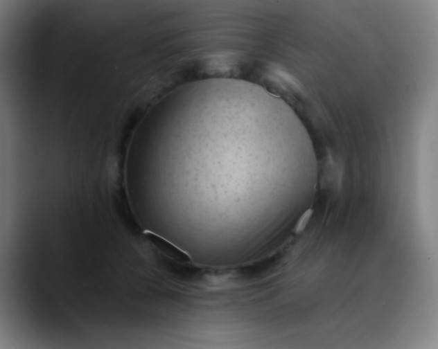 X0000089860560200707121738