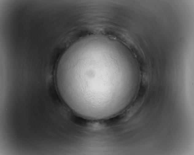 X0000089860561200707121738