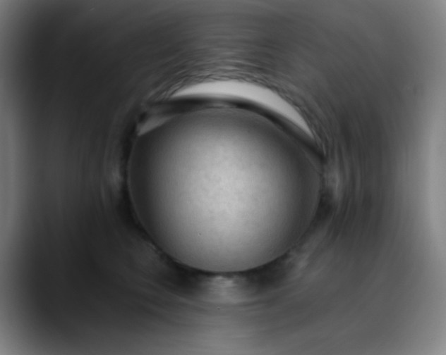 X0000089860566200707121738