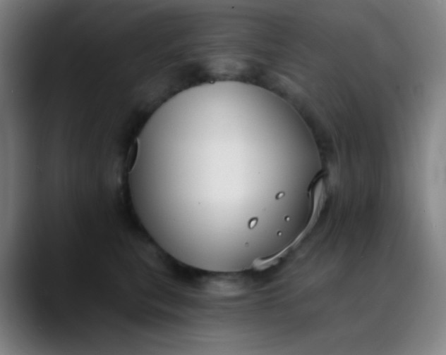 X0000089860567200707121738