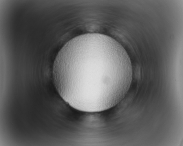 X0000089860569200707121738