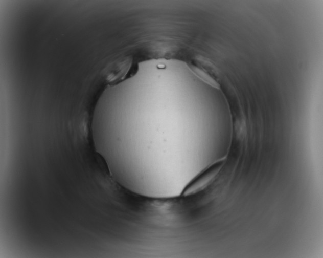 X0000089860570200707121738