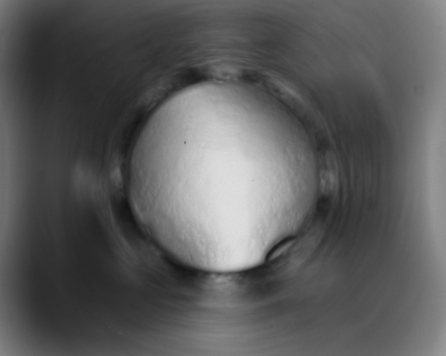 X0000089860573200707121738