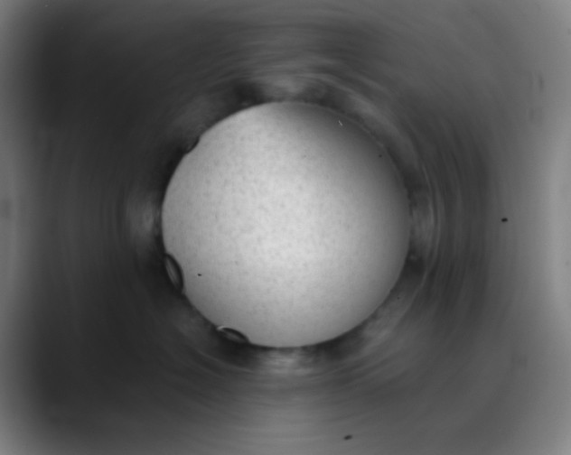 X0000089860574200707121738