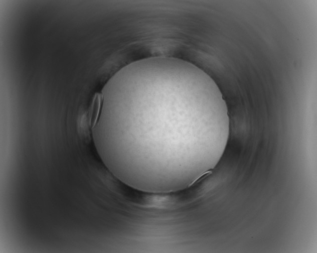 X0000089860575200707121738