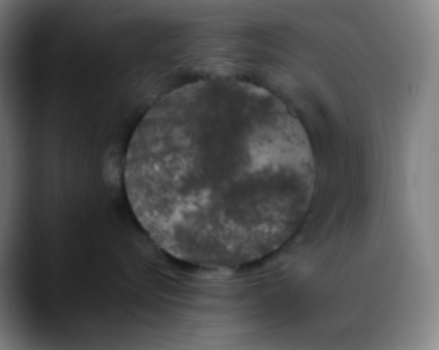 X0000089860576200707121738