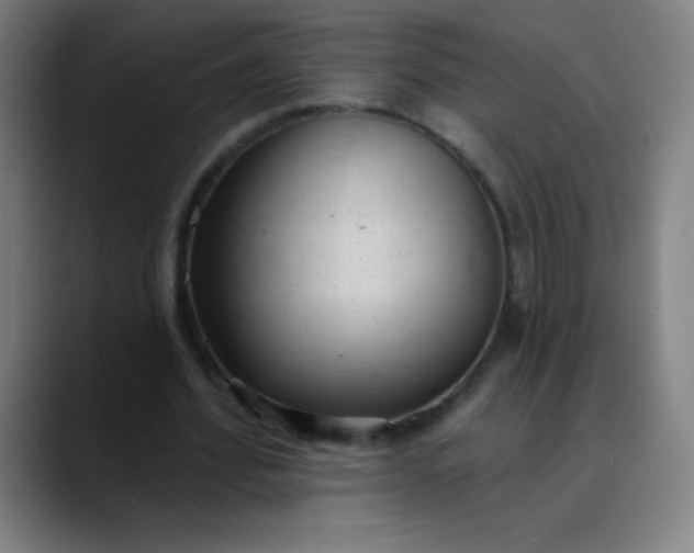 X0000089860580200707121738